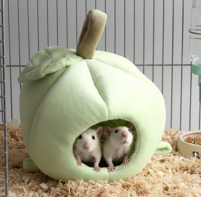 Apple Nest for Guinea Pigs and Hamsters Hover Image