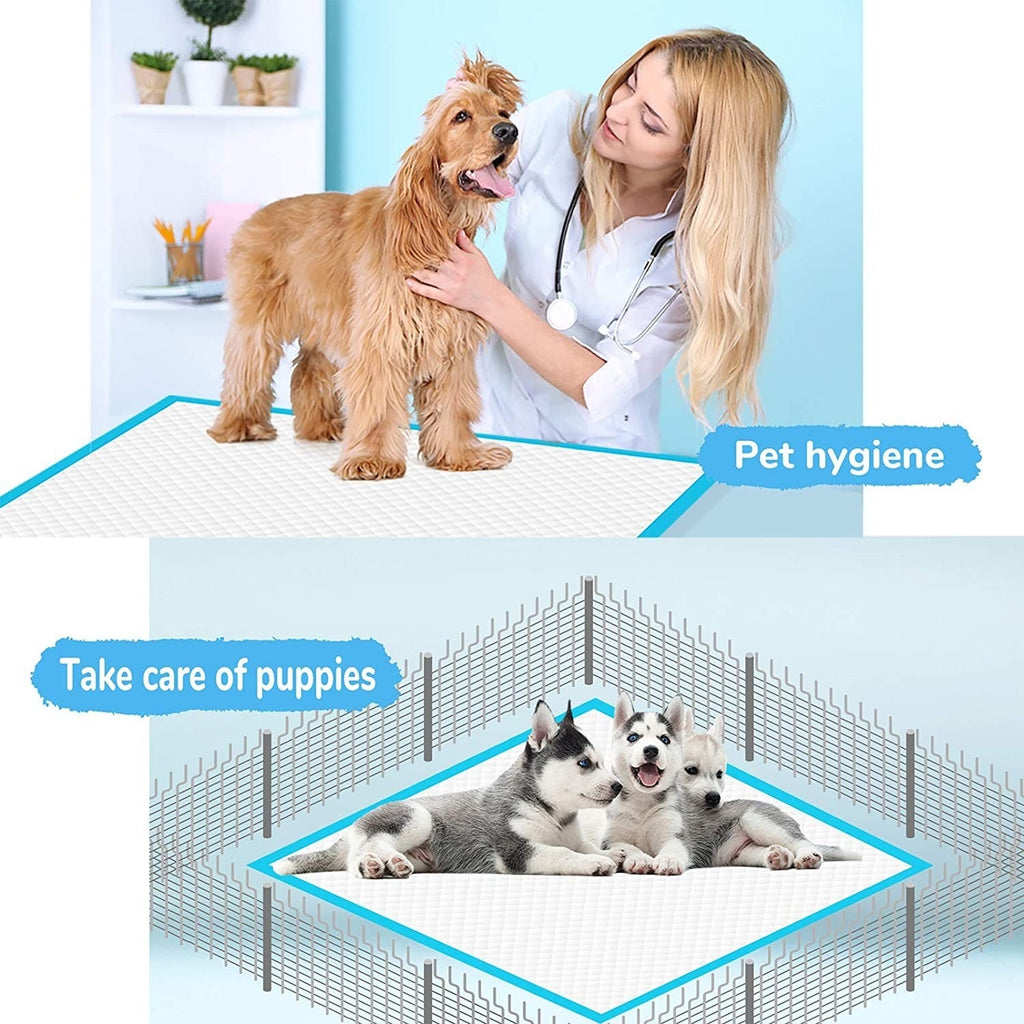 Disposable Pet Pads – Toilet Training Supplies for Dogs Cats