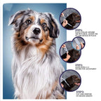 Natural Flea and Tick Collar 8-Month Protection for All Pets