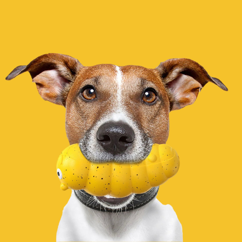 Puppy Chew Toys – Bug Shape Squeaky Teething Toy